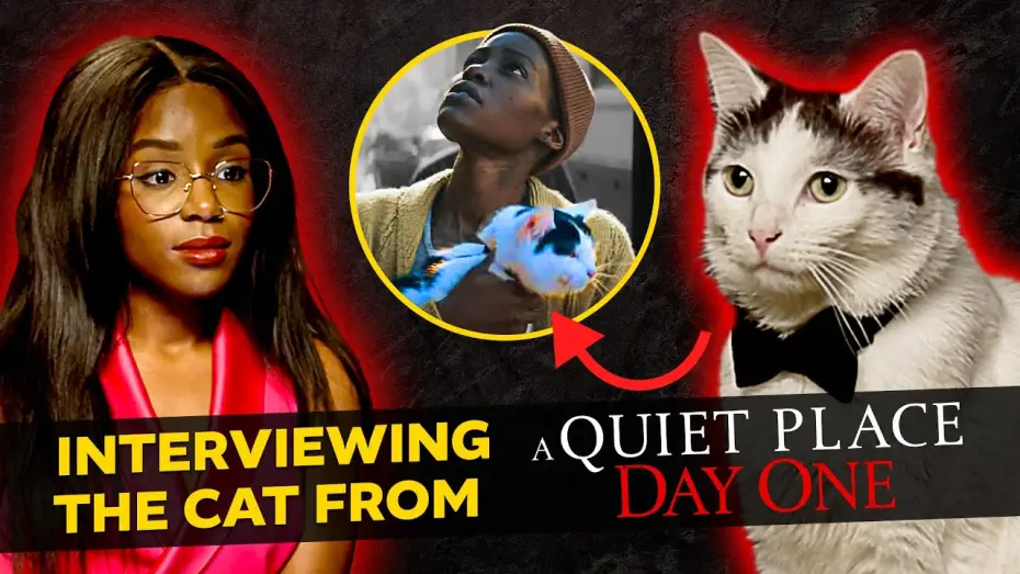 Відео до фільму Тихе місце: День перший | An Exclusive Interview with The Cat from A Quiet Place: Day One