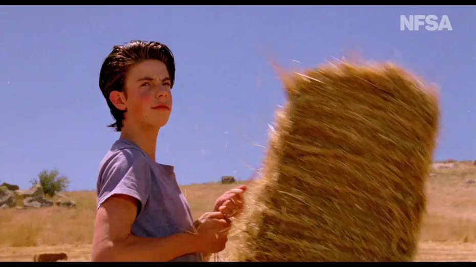 Відео до фільму The Year My Voice Broke | The Year My Voice Broke (1987) - NFSA Restores trailer