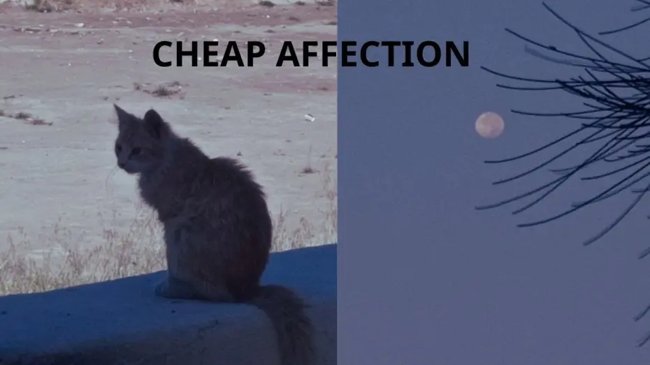 Відео до фільму Cheap Affection | Cheap Affection By Omar Mohamed (Short Film)