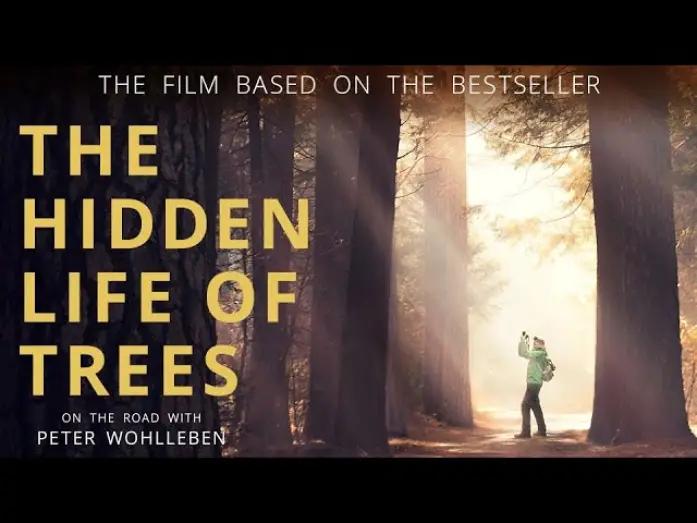 Відео до фільму The Hidden Life of Trees | The Hidden Life of Trees - Official Movie Trailer (2021)