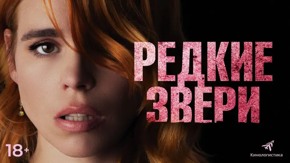 Відео до фільму Небезпечна жінка | Редкие звери. Смотрите в онлайн кинотеатрах.