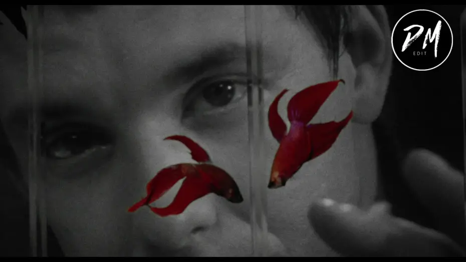 Відео до фільму Бійцівська рибка | Rumble Fish (Modern Trailer)