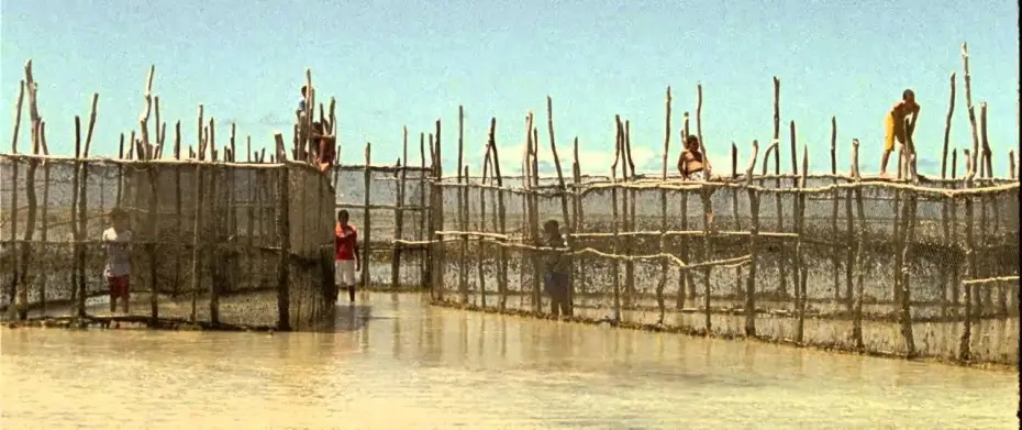 Відео до фільму Heartless | Trailer "Sem Coração" - Mostra competitiva - Festival de Brasília do Cinema Brasileiro