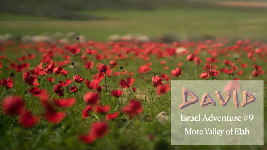 Відео до фільму David | David | Israel Adventure | Back to The Valley of Elah