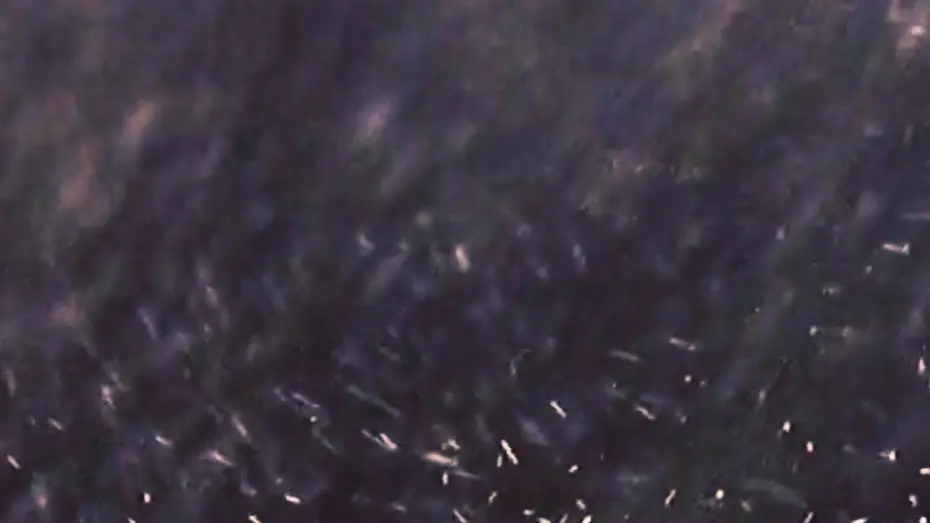 Відео до фільму Inspection 01 | Inspection 01 | Short Film