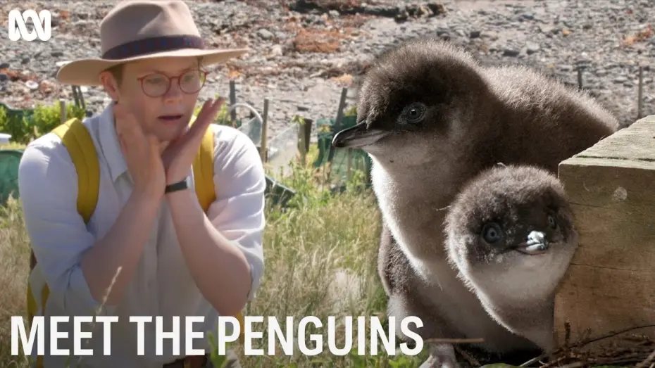 Відео до фільму Meet the Penguins | Meet The Penguins | First Look
