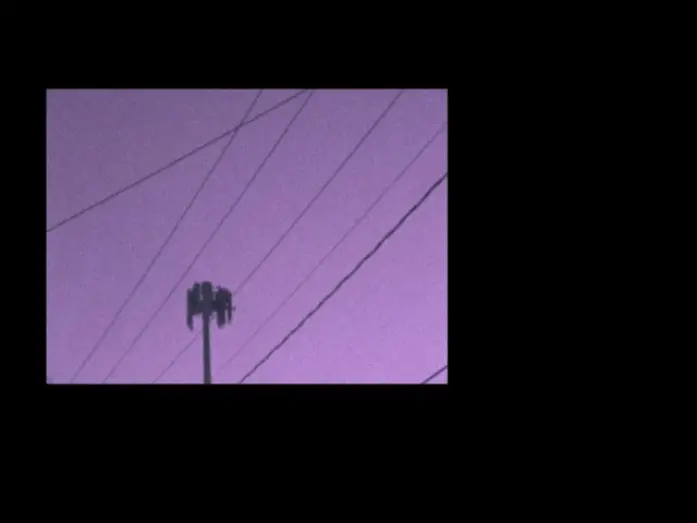 Відео до фільму Transmissions From The Garden Of The Stone Roses | Transmissions From The Garden Of The Stone Roses Trailer