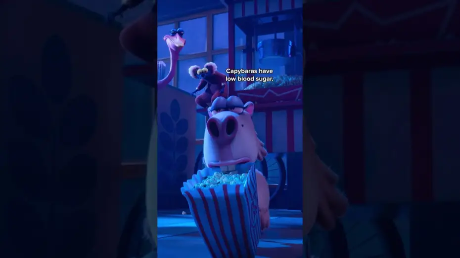 Відео до фільму Night of the Zoopocalypse | Capybara Meme