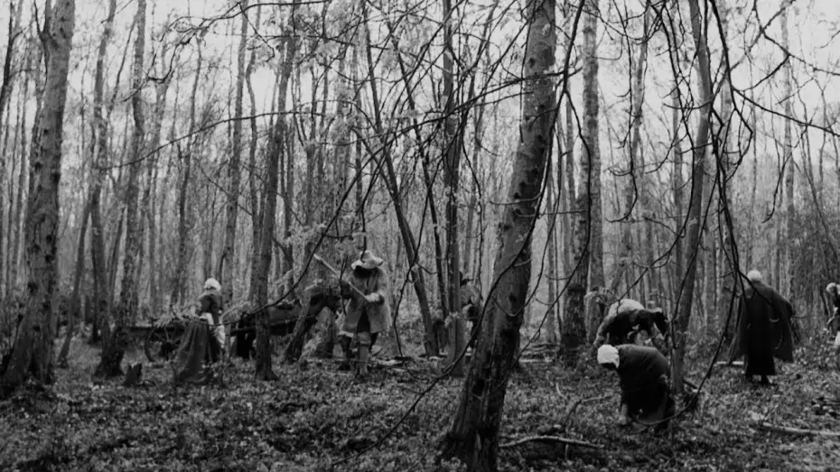 Відео до фільму Arcadia | Clip