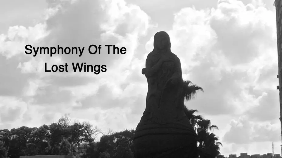 Відео до фільму Symphony Of The Lost Wings | Symphony Of The Lost Wings (short film)