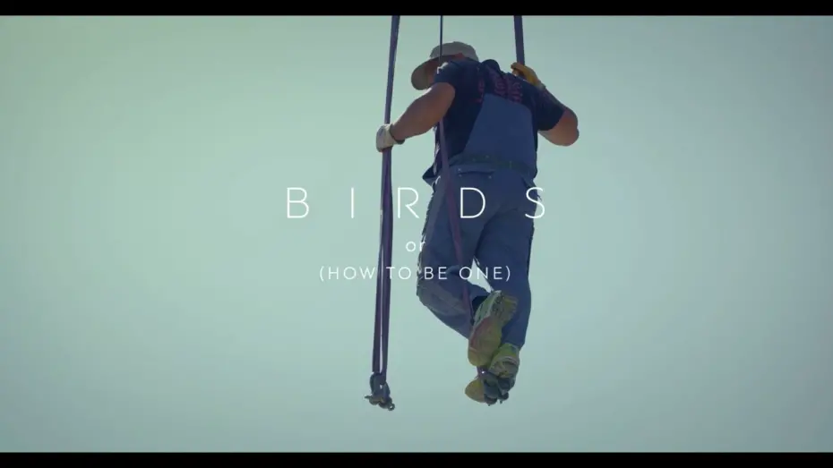 Відео до фільму Birds (Or How to Be One) | Birds (Or How To Be One) / Όρνιθες (ή Πώς να γίνεις πουλί) by Babis Makridis – International Trailer