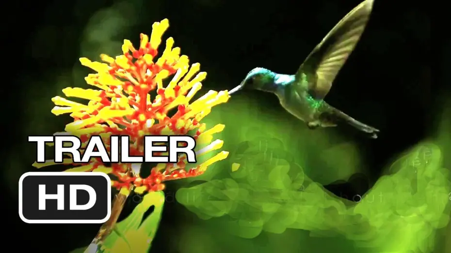 Відео до фільму Wings of Life | Disneynature: Wings of Life Official US DVD Release Trailer #1 - Meryl Streep Movie HD