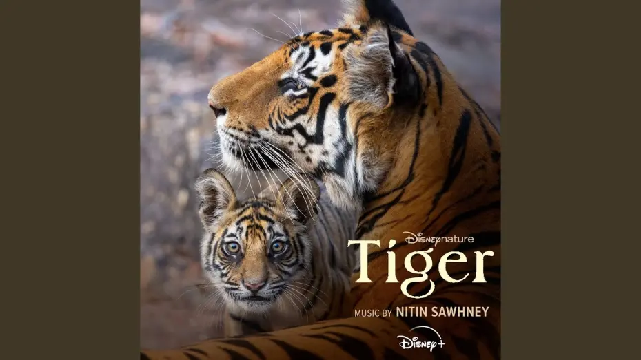 Відео до фільму Tigers on the Rise | Tigers on the Rise