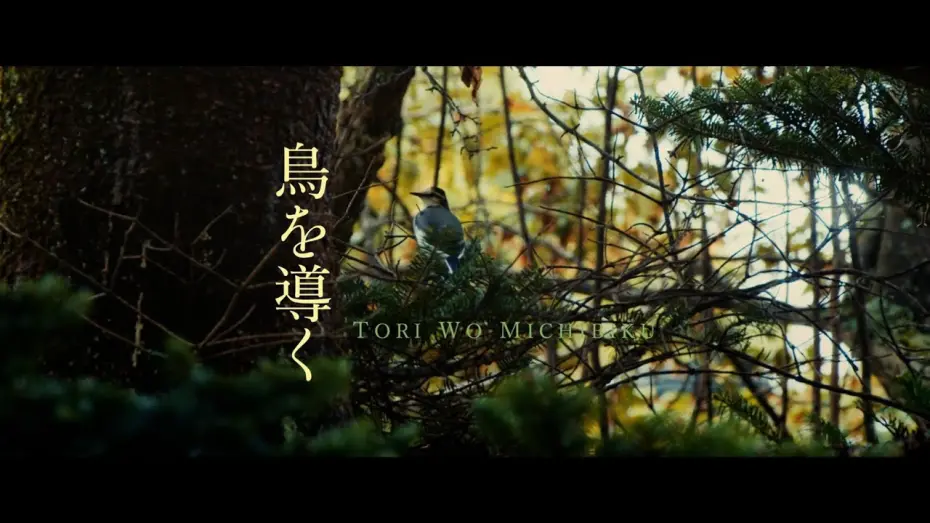 Відео до фільму Leading Your Birds | 映画「鳥を導く」日本語版 予告編