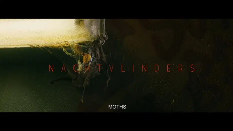 Відео до фільму Night Creatures | Night Creatures - Trailer