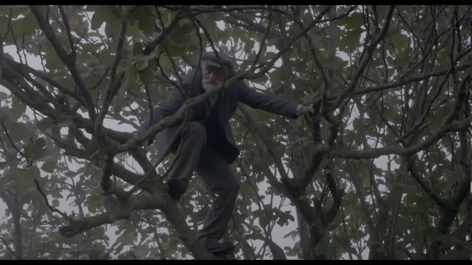 Відео до фільму Fig | Fig (Trailer)