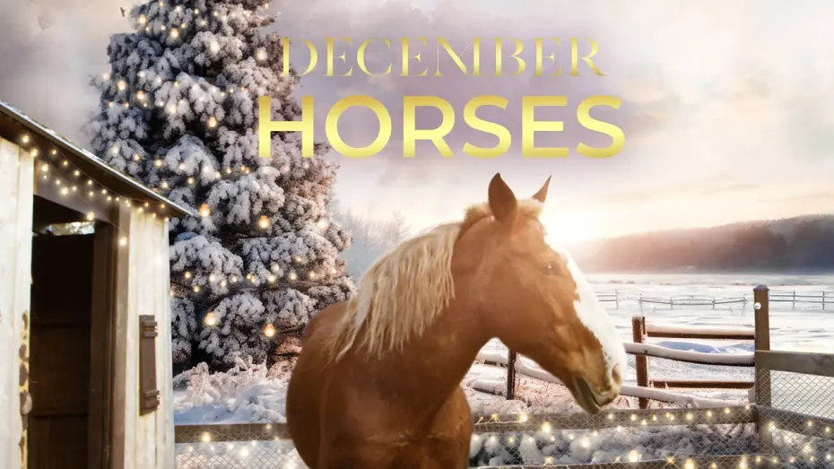 Відео до фільму December Horses | Official Trailer