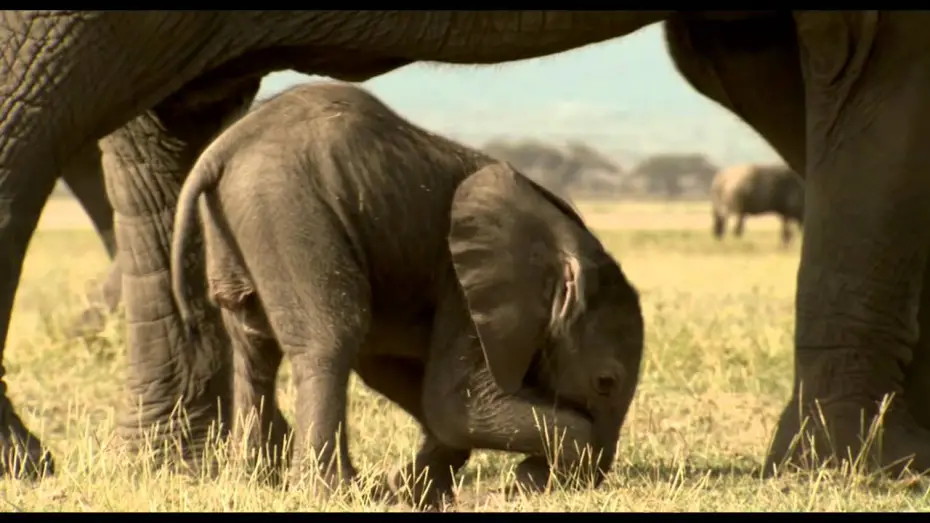 Відео до фільму Одне життя | One Life Official Movie Trailer [HD]