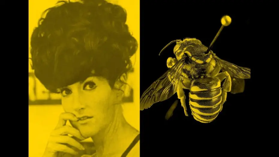 Відео до фільму The Beehive | The Beehive | Zanny Begg