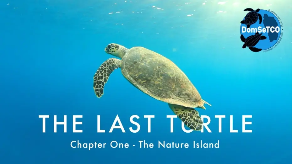 Відео до фільму The Last Turtle | The Last Turtle | Ep.1, The Nature Island