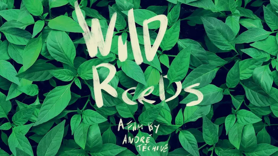 Відео до фільму Wild Reeds | Wild Reeds (Les roseaux sauvages) - U.S. Restoration Trailer (HD)