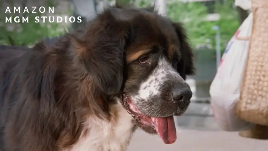 Відео до фільму Fluke | Meeting Rumbo