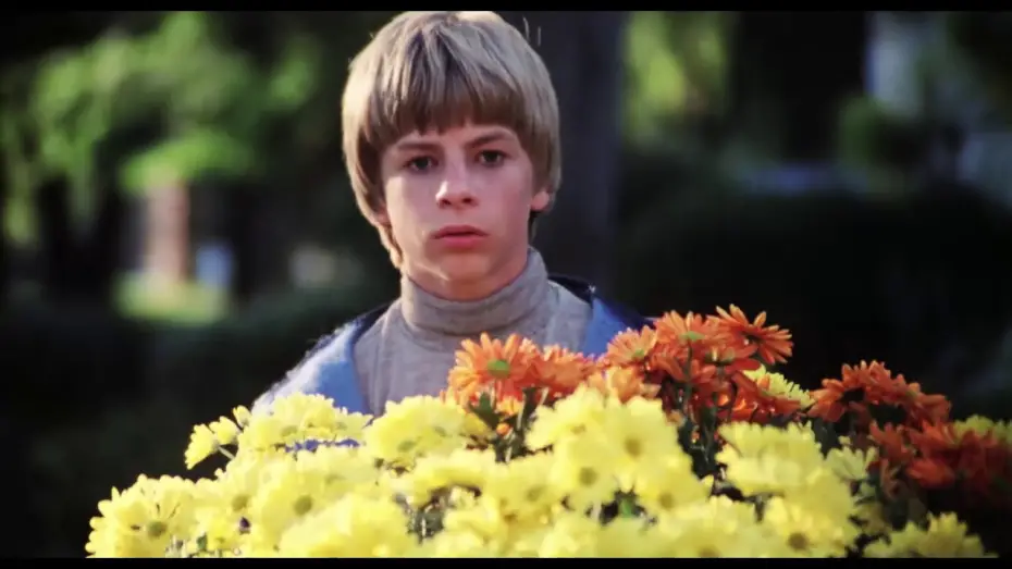 Відео до фільму The Pit | The Pit - Official Trailer (Re-release)