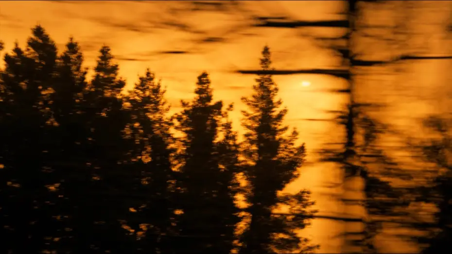 Відео до фільму RACCOONS | camsfilms