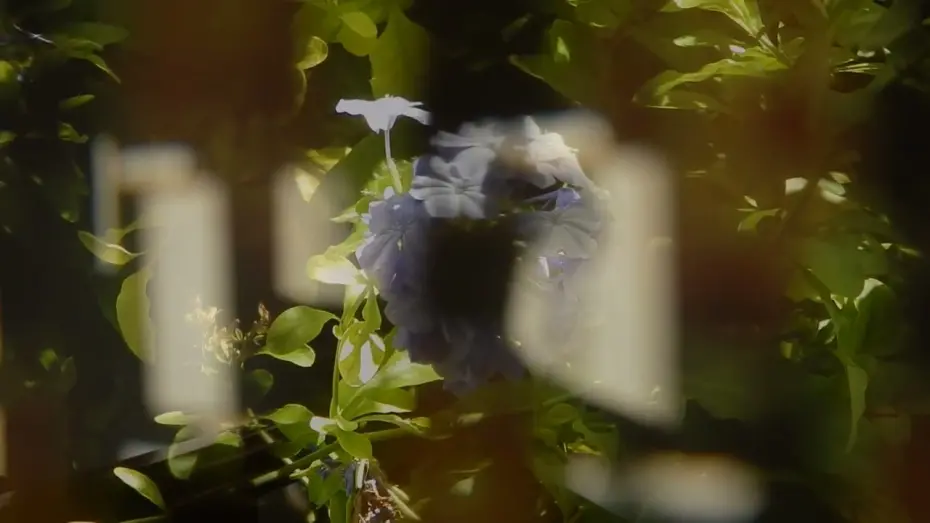 Відео до фільму Remembering So We Don