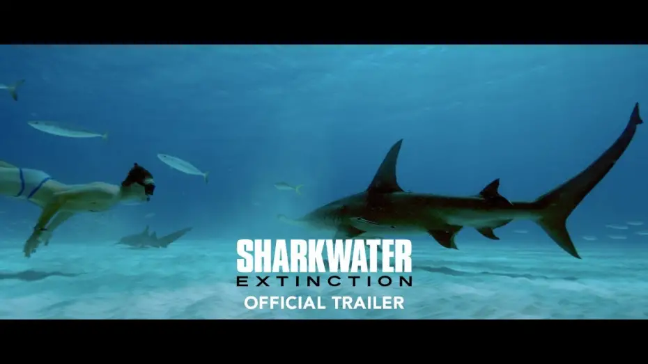 Відео до фільму Sharkwater Extinction | SHARKWATER EXTINCTION Official Trailer [4K ULTRA HD]