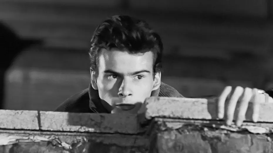 Відео до фільму Teenage Wolfpack | Die Halbstarken (1956) DEUTSCH TRAILER [JD]