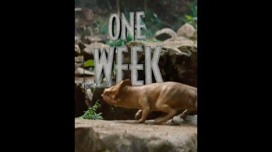 Відео до фільму Jurassic World Rebirth | You ready? Jurassic World Rebirth hits theaters in ONE WEEK. Get your tickets now!