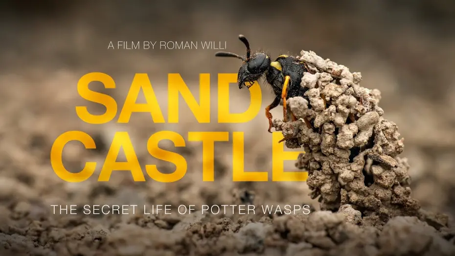 Відео до фільму Sandcastle - The Secret Life Of Potter Wasps | Sandcastle - The Secret Life Of Potter Wasps (Trailer)