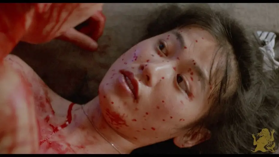 Відео до фільму Love Letter in the Sand | The Films of Hisayasu Satō: Volume #1 [Pink Line & M&eacute;lusine Blu-ray Promo Trailer]