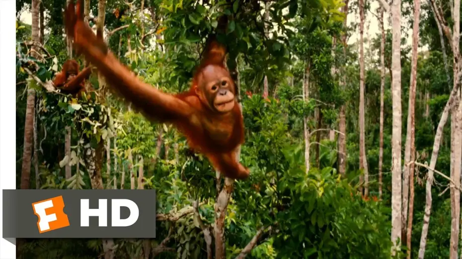 Відео до фільму Народжені бути вільними | Born to Be Wild Official Trailer #1 - (2011) HD