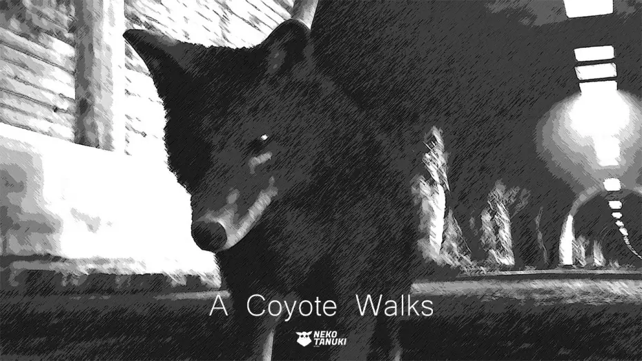 Відео до фільму A Coyote Walks | A COYOTE WALKS (2025) | a NEKO-TANUKI Studio Short Film