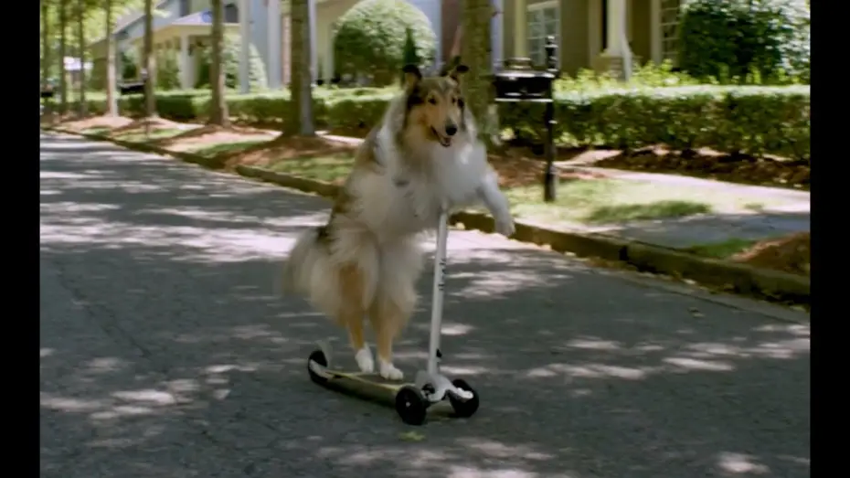 Відео до фільму Five Date Rule | Five Date Rule - Trailer