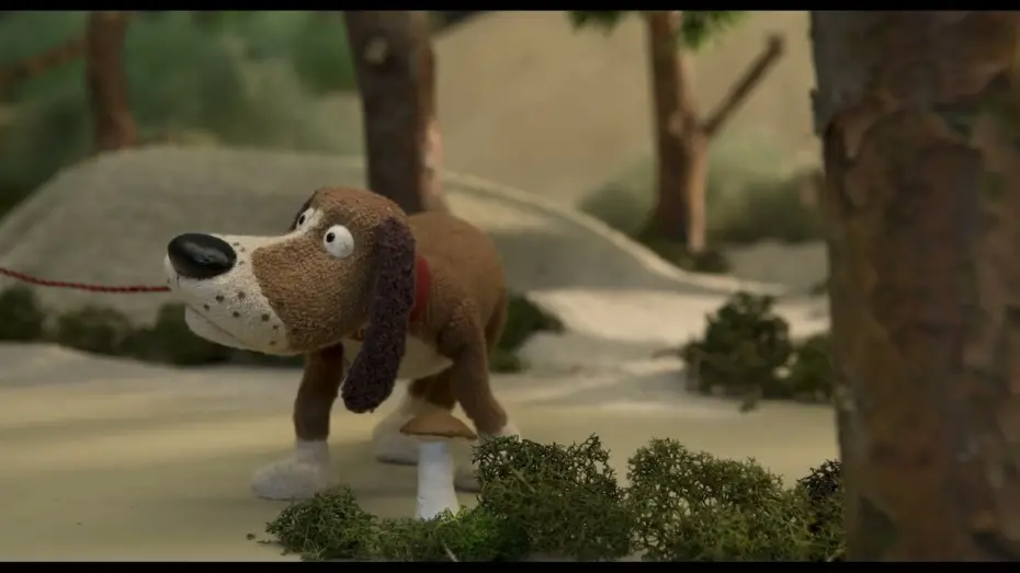 Відео до фільму The Life of a Mushroom | Mushrooms Life (Sēnes dzīve) film clip