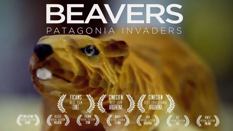 Відео до фільму Beavers: Patagonia invaders | Beavers. Patagonia invaders. Trailer