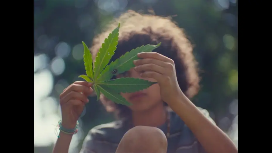 Відео до фільму Grassland | Grassland | Official Trailer