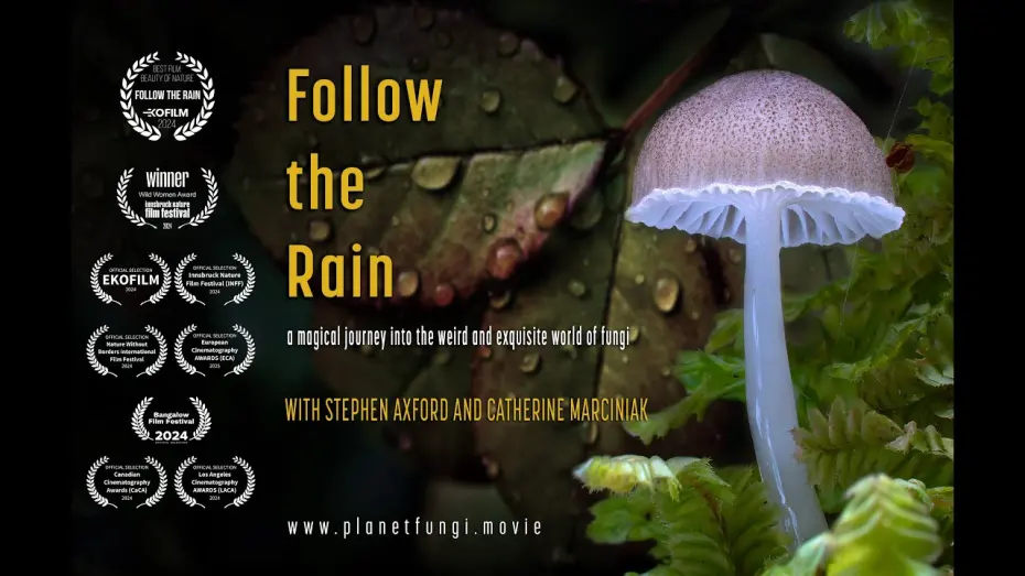 Відео до фільму Follow the Rain | FOLLOW THE RAIN - OFFICIAL TRAILER