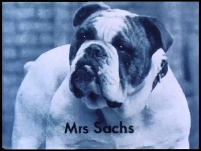 Відео до фільму The Falls | The Falls (1980) Trailer - Director: Peter Greenaway, Music By: Michael Nyman