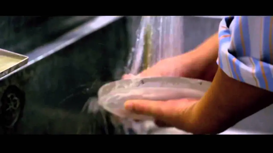 Відео до фільму Bending the Light | Bending The Light Official Trailer 2014   Michael Apted Photography Documentary HD