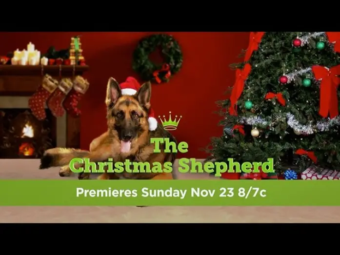 Відео до фільму The Christmas Shepherd | The Christmas Shepherd