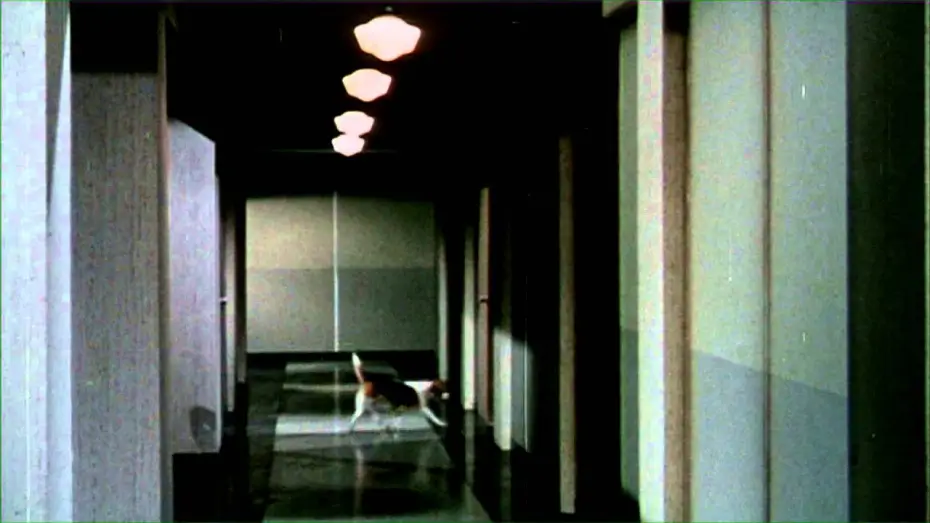 Відео до фільму Who