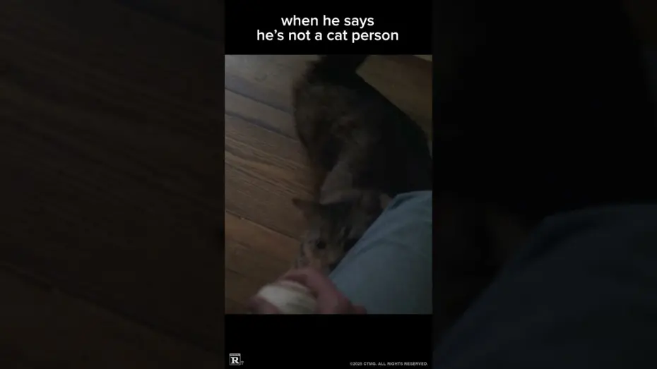 Відео до фільму Caught Stealing | Cat Daddy