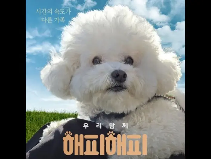Відео до фільму Happy Happy | 영화 해피해피 영문 예고편