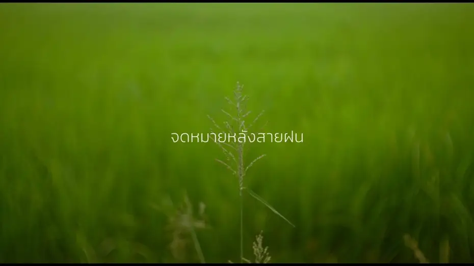 Відео до фільму Letters After Rain | Tester - Letter After Rain | CineFilm Action Film