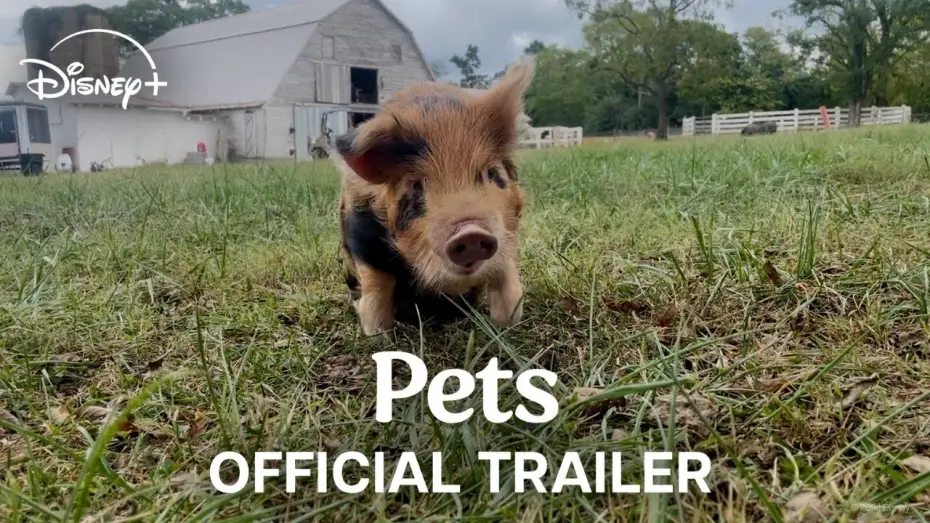 Відео до фільму Pets | Official Trailer