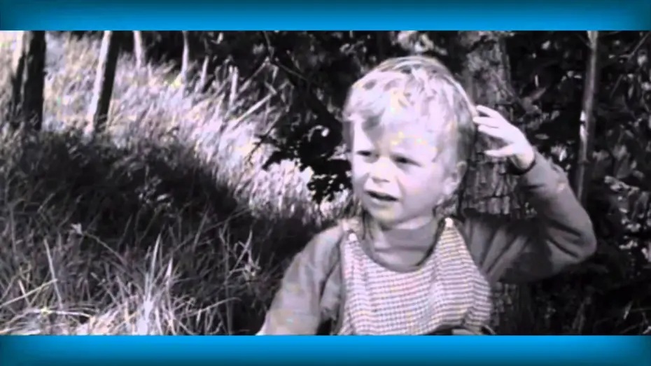 Відео до фільму Don